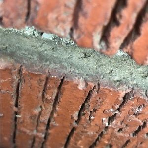 Meet your Posher, Garrett